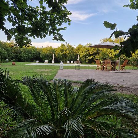 Agriturismo Terre Di Nelio Vignanello Экстерьер фото